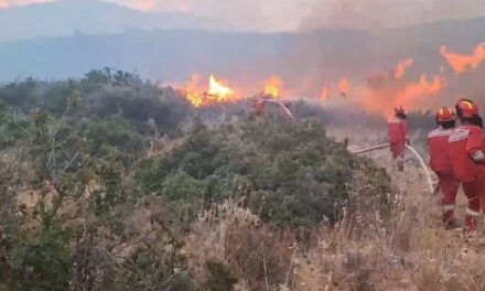 Zjarri rrezikon banesat dhe bizneset në Borsh e Piqeras, evakuohen 40 banorë
