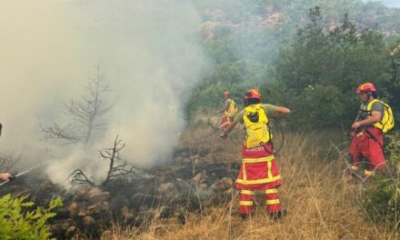 Vijon të jetë aktive vatra në Parkun e Prespës, digjen 7 hektarë bimësi
