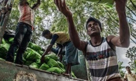 3,000 miliarderë zotërojnë 14.6% të PBB-së globale