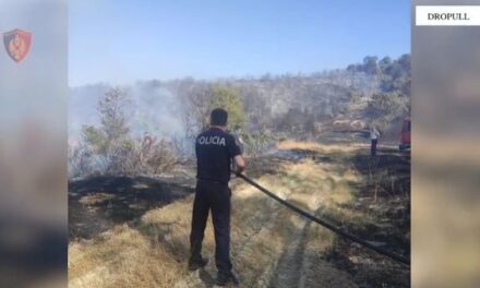 Shkaktoi zjarrin në Kakavijë ku u dogjën 4 shtëpi dhe pemë, arrestohet 39-vjeçari