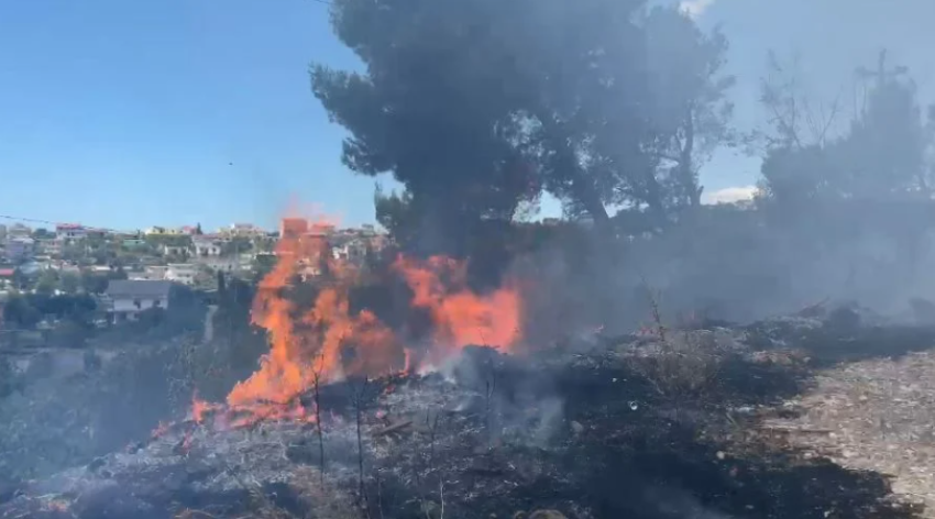 Zjarri përfshin një sipërfaqe me pisha në Lezhë, rrezikohen banesat