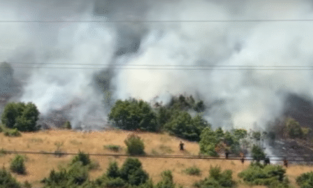 Zjarr masiv në Kapshticë, flakët arrijnë pranë rrugës nacionale, shërbimet zjarrfikëse në vendngjarje