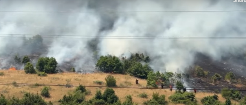 Zjarr masiv në Kapshticë, flakët arrijnë pranë rrugës nacionale, shërbimet zjarrfikëse në vendngjarje