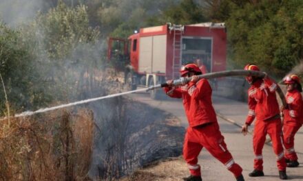 Situata me zjarret/ Mbrojtja: Janë evidentuar 52 vatra zjarri. Shuhen 46 prej tyre