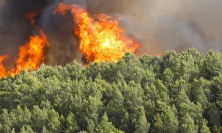 Edhe Italia në telash me zjarrvënësit e qëllimshëm: Arrestime në mbarë gadishullin Apenin