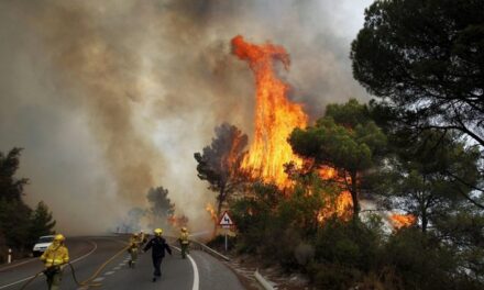 OBSH: Situata e zjarreve në Europë, emergjencë shëndetësore