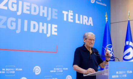 Berisha për situatën e zjarreve: Në Delvinë duhej shpallur fatkeqësia natyrore