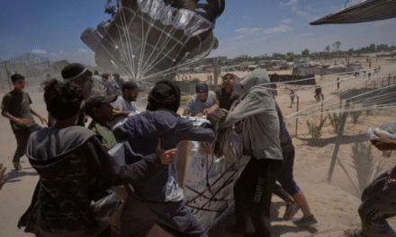 Në Gaza mbijetojnë vetëm më të fuqishmit – të tjerët mbesin duarbosh