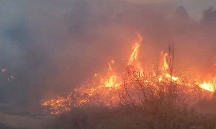 Riaktivizohet vatra e zjarrit në Skënderbegas, banorët kërkojnë ndihmë