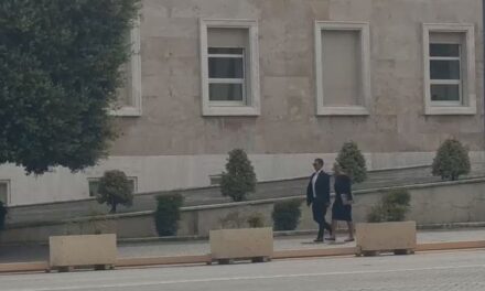 Në prag të qeverisjes së re, Delina Ibramihaj dhe Ervin Mete i shkojnë në zyrë Ramës