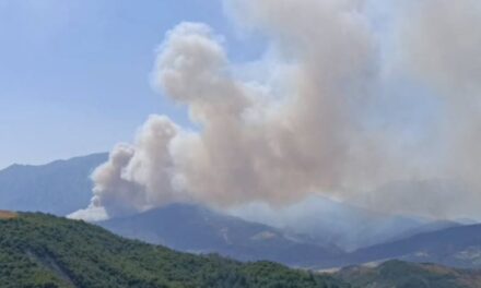 Zjarret masive në Gramsh: 8 grupe në terren, raporti i dëmeve gati për dorëzim brenda një jave