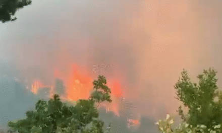 I vuri flakën fshatit nga inati që kishte me komshiun, zbardhet arsyeja e zjarrvënies në Gramsh nga 80-vjeçari