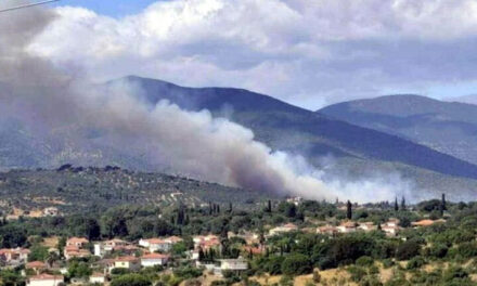 Aksidenti i rëndë, ndërron jetë një prej të plagosurve! Makina e shkatërruar nga përplasja me kamioni