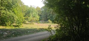 IMG 20250907 WA0020 1