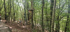 IMG 20250907 WA0031 2