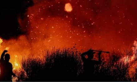 Ndryshime në Kodin Penal në Shqipëri: Dënime deri në 30 vjet burg për zjarrvënësit