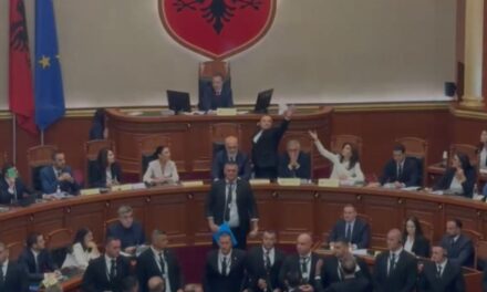 Tensione në Kuvend pas fjalës së ministres virtuale, Bardhi e Balliu i bien tavolinave