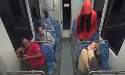 Video tronditëse/ SHBA: 23-vjeçarja ukrainase vritet në tren pasagjerët e shikojnë me indiferencë