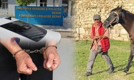 Vrasja në kalanë e Beratit, si nisi debati që përfundoi në krim! Zbardhet dëshmia e autorit: Turisti më shau