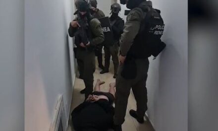 Me armën poshtë jastëkut! Momenti i arrestimit të shumëkërkuarit Aldo Avdyli, i akuzuar për vrasje