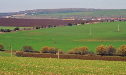 Tokat pa tapi, në shitje me 1 euro – Hapet drita jeshile për “Paketën e Maleve”. Kush përfiton?