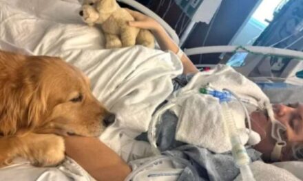 Një grua nga Florida u zgjua nga koma e shkaktuar nga një qen