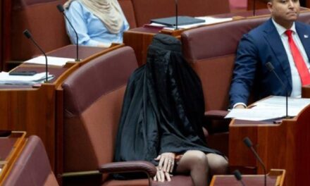 Australi: Senatorja ekstremit të djathtë shfaqet në parlament e veshur me burka