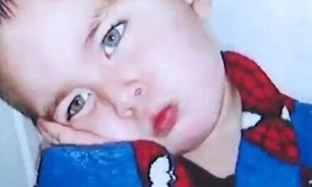 Tronditëse : Një djalë 8-vjeçar gjendet i vdekur në frigorifer