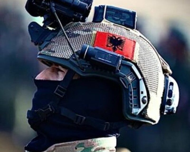 NATO uron Shqipërinë për 113-vjetorin e Pavarësisë me imazhin e veçantë!