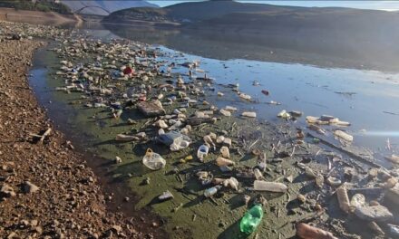 Liqeni i Kukësit, aty ku mungon uji, por jo mbeturinat!