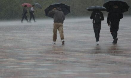 Situata me reshjet e shiut/ Çfarë paralajmëron Instituti i Gjeoshkencave