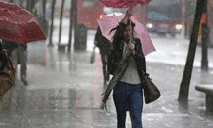 Ndërprerje të energjisë elektrike dhe prezencë uji në rrugët rurale, rikthehen reshjet e dendura te shiut në qarkun e Shkodrës