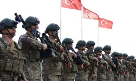Turqia thotë se është gati të dërgojë trupa në Ukrainë