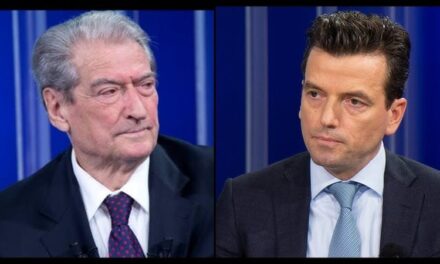 Agron Shehaj: Elefanti në dhomën e PD-së është Sali Berisha