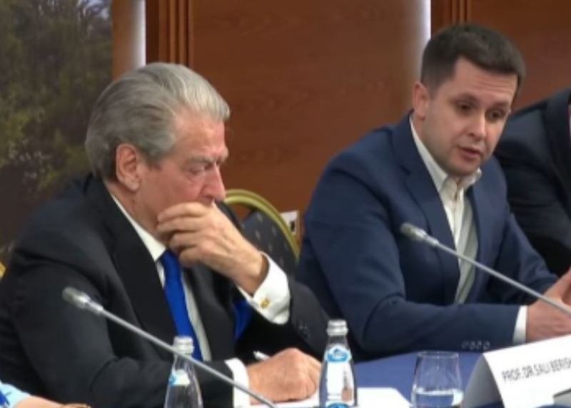 Alimehmeti: Partia Demokratike duhet të pranojë ndryshimet, ka nevojë të fuqizohet